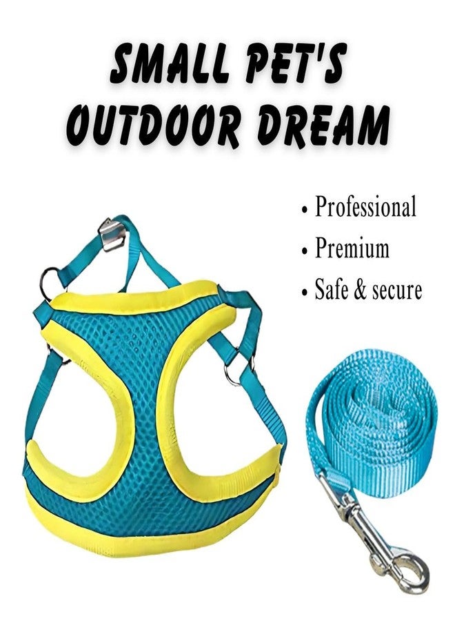 PET FUN Padded Vest Harness Set with Leash for Small Dogs, Cats, & Puppies | Adjustable Soft Mesh Harness for Training & Walking | Lightweight & Breathable with Secure Buckle (Multicolour, 10 MM) - Image 2
